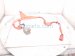 2021 Toyota Highlander Hybrid High Voltage Battery Cable 821H1 0E053 Replacement 2021 Toyota Highlander Hybrid High Voltage Battery Cable 821H1 0E053 Replacement thumbnail