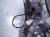 2025 Toyota Camry Front Oxygen Sensor 2.5l Hybrid 89467 06320 Replacement 2025 Toyota Camry Front Oxygen Sensor 2.5l Hybrid 89467 06320 Replacement thumbnail