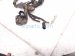 2025 Toyota Tacoma Engine Room Wiring Harness 2.4l 4x4 82119 AK010 Replacement 2025 Toyota Tacoma Engine Room Wiring Harness 2.4l 4x4 82119 AK010 Replacement thumbnail