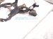 2025 Toyota Tacoma Engine Room Wiring Harness 2.4l 4x4 82119 AK010 Replacement 2025 Toyota Tacoma Engine Room Wiring Harness 2.4l 4x4 82119 AK010 Replacement thumbnail