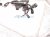 2025 Toyota Tacoma Engine Room Wiring Harness 2.4l 4x4 82119 AK010 Replacement 2025 Toyota Tacoma Engine Room Wiring Harness 2.4l 4x4 82119 AK010 Replacement thumbnail