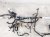 2018 Toyota Tacoma Instrument Panel Wire Harness 4x2 82141 04Z02 Replacement 2018 Toyota Tacoma Instrument Panel Wire Harness 4x2 82141 04Z02 Replacement thumbnail