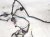 2018 Toyota Tacoma Engine Room Harness W/fuse 3.5l 4x2 82111 04J91 Replacement 2018 Toyota Tacoma Engine Room Harness W/fuse 3.5l 4x2 82111 04J91 Replacement thumbnail