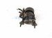 2015 Lexus Rx350 Engine/motor Front Engine Mount 3.5l Awd 12360 31070 Replacement 2015 Lexus Rx350 Engine/motor Front Engine Mount 3.5l Awd 12360 31070 Replacement thumbnail