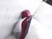 2021 Acura TLX Back (2nd Row) Rear Passenger Upper Seat Cushion Red 82121 TGV A41ZK Replacement 2021 Acura TLX Back (2nd Row) Rear Passenger Upper Seat Cushion Red 82121 TGV A41ZK Replacement thumbnail