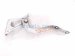 2022 Toyota Venza Driver Hood Hinge White 53420 48200 Replacement 2022 Toyota Venza Driver Hood Hinge White 53420 48200 Replacement thumbnail