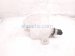 2022 Toyota Venza Coolant Overflow Reservoir Tank 16470 F0020 Replacement 2022 Toyota Venza Coolant Overflow Reservoir Tank 16470 F0020 Replacement thumbnail