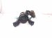 2022 Toyota Venza Engine/motor Front Engine Mount 2.5l Hyb Awd 12361 F0090 Replacement 2022 Toyota Venza Engine/motor Front Engine Mount 2.5l Hyb Awd 12361 F0090 Replacement thumbnail