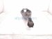 2018 Honda Civic Rear Driver Spring Seat Lower Control Arm 52355 TGG A00 Replacement 2018 Honda Civic Rear Driver Spring Seat Lower Control Arm 52355 TGG A00 Replacement thumbnail