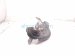 2022 Toyota Venza Rear Driver Trailing Lower Control Arm 48780 0R040 Replacement 2022 Toyota Venza Rear Driver Trailing Lower Control Arm 48780 0R040 Replacement thumbnail