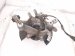 2018 Honda Civic Axle Stub Rear Passenger Spindle Knuckle Hub Fwd 52210 TBA A00 Replacement 2018 Honda Civic Axle Stub Rear Passenger Spindle Knuckle Hub Fwd 52210 TBA A00 Replacement thumbnail