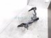 2024 Chevy Silverado 1500 Tow Hitch Assy 2.7t *short Bed 87830271 Replacement 2024 Chevy Silverado 1500 Tow Hitch Assy 2.7t *short Bed 87830271 Replacement thumbnail