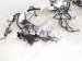 2021 Toyota Highlander Dash Instrument Wire Harness Awd 82141 0EP70 Replacement 2021 Toyota Highlander Dash Instrument Wire Harness Awd 82141 0EP70 Replacement thumbnail