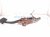 2018 Toyota Corolla Brake Pedal Assy 1.8l Fwd 47101 02520 Replacement 2018 Toyota Corolla Brake Pedal Assy 1.8l Fwd 47101 02520 Replacement thumbnail