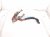 2018 Toyota Corolla Brake Pedal Assy 1.8l Fwd 47101 02520 Replacement 2018 Toyota Corolla Brake Pedal Assy 1.8l Fwd 47101 02520 Replacement thumbnail