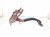 2018 Toyota Corolla Brake Pedal Assy 1.8l Fwd 47101 02520 Replacement 2018 Toyota Corolla Brake Pedal Assy 1.8l Fwd 47101 02520 Replacement thumbnail