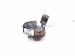 2025 Honda Accord Low Pitch Note Horn Passenger 38100 30A A01 Replacement 2025 Honda Accord Low Pitch Note Horn Passenger 38100 30A A01 Replacement thumbnail