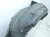 2018 Honda Civic Front Driver Inner Fender Liner 74151 TBA A00 Replacement 2018 Honda Civic Front Driver Inner Fender Liner 74151 TBA A00 Replacement thumbnail