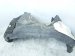 2022 Toyota Venza Front Driver Inner Fender Liner 53876 48190 Replacement 2022 Toyota Venza Front Driver Inner Fender Liner 53876 48190 Replacement thumbnail