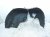 2026 GMC Acadia Rear Driver Inner Fender Liner 26466778 Replacement 2026 GMC Acadia Rear Driver Inner Fender Liner 26466778 Replacement thumbnail