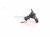 2025 Honda Accord Mass Air Flow Sensor 1.5l 37980 5BA A01 Replacement 2025 Honda Accord Mass Air Flow Sensor 1.5l 37980 5BA A01 Replacement thumbnail