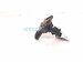 2025 Honda Accord Mass Air Flow Sensor 1.5l 37980 5BA A01 Replacement 2025 Honda Accord Mass Air Flow Sensor 1.5l 37980 5BA A01 Replacement thumbnail