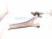 2025 Honda Accord Front Passenger Lower Control Arm 51395 30A A00 Replacement 2025 Honda Accord Front Passenger Lower Control Arm 51395 30A A00 Replacement thumbnail