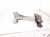 2025 Honda Accord Front Passenger Lower Control Arm 51395 30A A00 Replacement 2025 Honda Accord Front Passenger Lower Control Arm 51395 30A A00 Replacement thumbnail