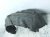 2022 Toyota Venza Rear Driver Inner Fender Liner 65638 48080 Replacement 2022 Toyota Venza Rear Driver Inner Fender Liner 65638 48080 Replacement thumbnail