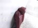 2023 Mazda Cx 30 (2nd Row) Rear Passenger 2nd Row Seat Back Red DHTF 57 400 18 Replacement 2023 Mazda Cx 30 (2nd Row) Rear Passenger 2nd Row Seat Back Red DHTF 57 400 18 Replacement thumbnail