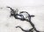 2023 Mazda Cx 30 Dash Instrument Wire Harness Awd DBRW 67 030 Replacement 2023 Mazda Cx 30 Dash Instrument Wire Harness Awd DBRW 67 030 Replacement thumbnail