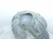 2023 Mazda Cx 30 Front Driver Inner Fender Liner DFR5 56 140 Replacement 2023 Mazda Cx 30 Front Driver Inner Fender Liner DFR5 56 140 Replacement thumbnail