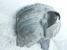 2023 Mazda Cx 30 Front Driver Inner Fender Liner DFR5 56 140 Replacement 2023 Mazda Cx 30 Front Driver Inner Fender Liner DFR5 56 140 Replacement thumbnail