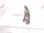 2000 Toyota Tacoma Rear Passenger Bumper Side Support Brkt PZ140 15001 Replacement 2000 Toyota Tacoma Rear Passenger Bumper Side Support Brkt PZ140 15001 Replacement thumbnail