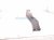 2000 Toyota Tacoma Rear Driver Bumper Side Support Brkt PZ140 15001 Replacement 2000 Toyota Tacoma Rear Driver Bumper Side Support Brkt PZ140 15001 Replacement thumbnail
