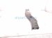 2000 Toyota Tacoma Rear Driver Bumper Side Support Brkt PZ140 15001 Replacement 2000 Toyota Tacoma Rear Driver Bumper Side Support Brkt PZ140 15001 Replacement thumbnail