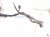 2000 Toyota Tacoma Battery Cable Harness 2.4l 4x2 82122 04042 Replacement 2000 Toyota Tacoma Battery Cable Harness 2.4l 4x2 82122 04042 Replacement thumbnail