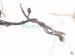 2000 Toyota Tacoma Battery Cable Harness 2.4l 4x2 82122 04042 Replacement 2000 Toyota Tacoma Battery Cable Harness 2.4l 4x2 82122 04042 Replacement thumbnail