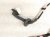 2019 Toyota C HR Rear Driver Door Wire Harness 82154 10080 Replacement 2019 Toyota C HR Rear Driver Door Wire Harness 82154 10080 Replacement thumbnail