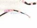 2019 Toyota C HR Rear Driver Door Wire Harness 82154 10080 Replacement 2019 Toyota C HR Rear Driver Door Wire Harness 82154 10080 Replacement thumbnail