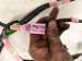 2019 Toyota C HR Rear Driver Door Wire Harness 82154 10080 Replacement 2019 Toyota C HR Rear Driver Door Wire Harness 82154 10080 Replacement thumbnail