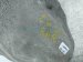 2018 Honda Clarity Rear Passenger Inner Fender Liner 74551 TRT A00 Replacement 2018 Honda Clarity Rear Passenger Inner Fender Liner 74551 TRT A00 Replacement thumbnail