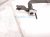 2013 Lexus Gs350 Ac Hose Line A/c Suction Pipe 3.5l Rwd 88707 30A41 Replacement 2013 Lexus Gs350 Ac Hose Line A/c Suction Pipe 3.5l Rwd 88707 30A41 Replacement thumbnail