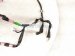 2019 Toyota C HR Front Driver Door Wire Harness 82152 10470 Replacement 2019 Toyota C HR Front Driver Door Wire Harness 82152 10470 Replacement thumbnail