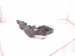 2025 Toyota Tacoma Front Passenger Radiator Side Brkt 16400 AK010 PARTIAL Replacement 2025 Toyota Tacoma Front Passenger Radiator Side Brkt 16400 AK010 PARTIAL Replacement thumbnail