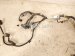 2022 Toyota Tacoma Engine Wire Harness 3.5l At 4x4 82121 04871 Replacement 2022 Toyota Tacoma Engine Wire Harness 3.5l At 4x4 82121 04871 Replacement thumbnail