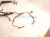 2022 Toyota Tacoma Engine Wire Harness 3.5l At 4x4 82121 04871 Replacement 2022 Toyota Tacoma Engine Wire Harness 3.5l At 4x4 82121 04871 Replacement thumbnail