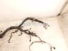 2022 Toyota Tacoma Engine Wire Harness 3.5l At 4x4 82121 04871 Replacement 2022 Toyota Tacoma Engine Wire Harness 3.5l At 4x4 82121 04871 Replacement thumbnail