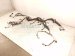 2022 Toyota Tacoma Engine Wire Harness 3.5l At 4x4 82121 04871 Replacement 2022 Toyota Tacoma Engine Wire Harness 3.5l At 4x4 82121 04871 Replacement thumbnail