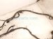 2022 Toyota Tacoma Engine Room Harness W/fuse 3.5l 4x4 82164 04E61 Replacement 2022 Toyota Tacoma Engine Room Harness W/fuse 3.5l 4x4 82164 04E61 Replacement thumbnail